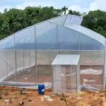 Single-span Film Tunnel Top Vent Greenhouse Sri Lanka Greenhouse Prefabricated