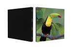 Outdoor LED Billboard with High Protection Level and Excellent Heat Dissipation