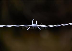 Wholesale Fences for farm barbed wire type protect animals sucurity fence from china suppliers