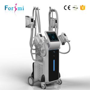Wholesale popular in Europe CE And TGA certification vacuum cryolipolysis machine korea from china suppliers