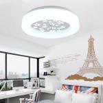 Fashionable ceiling lights for Living room Kitchen Dining room (WH-MA-36)