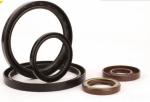 high quality TC Oil seal 30*42*11 41*53*8 OEM China Manufacturer FKM hydraulic