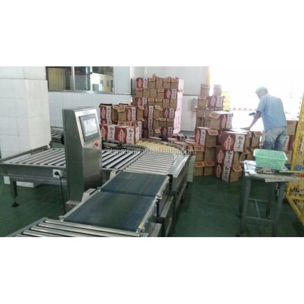 Micron 0.1g High Accuracy Automatic Conveyor Belt Checkweigher Machine Flapper System JZ-W100g