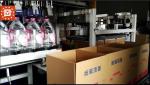 Mineral Water Bottle Case Packer Packaging Machine Single Column