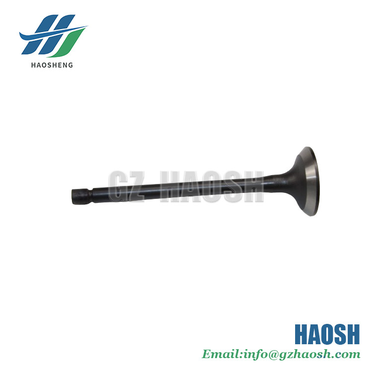 Intake Valve 8-97309675-0 8973096750 Suitable For Isuzu CXZ 10PD1