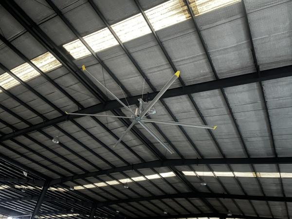 Multifunctional Industrial Large Ceiling Fan For Every Place Ventilation