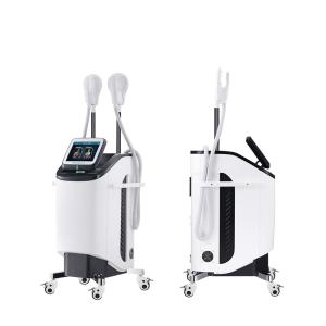 Wholesale 220V Leg Body Slimming Machine Sculpture Weight Loss Ems Muscle Stimulator Weight from china suppliers