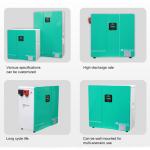Customized Lithium Ion Battery Pack LifePo4 24V 48V 200Ah Powerwall battery For