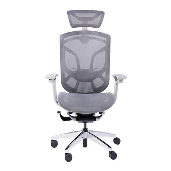 Butterfly Backrest Ergonomic Executive Chair Wintex Mesh Adjustable Lumbar
