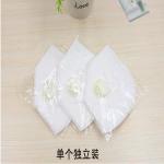 Earloop N95 Face Mask