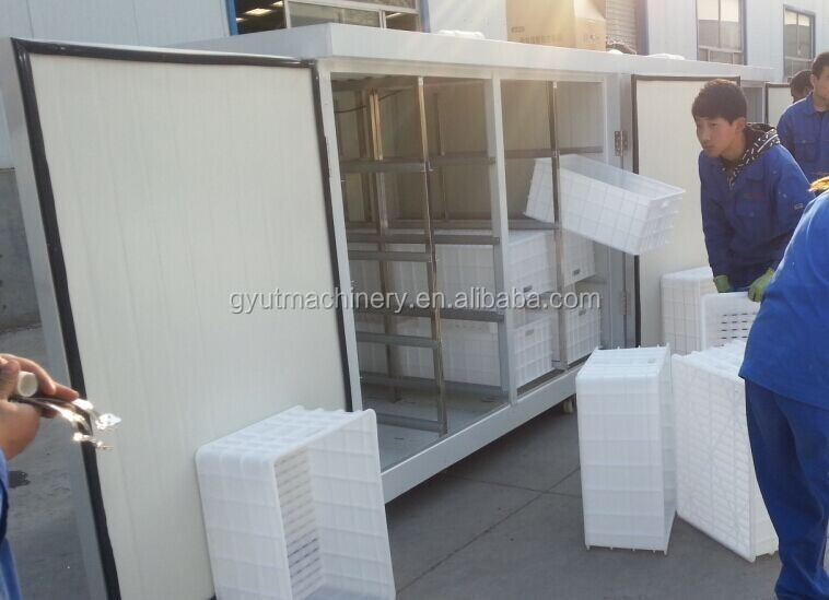 22V Voltage Container Automatic Hydroponic Fodder System Barley Sprout Machine Room