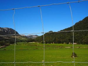 Wholesale Galvanized Fixed Knot 1.5mm Mesh Farm Fence For Deer Cattle Horse from china suppliers