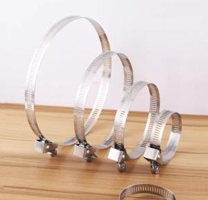 Wholesale Self-locking Stainless Steel Cable Ties for Heavy Duty Applications 4.6*300mm SS304/316 Fscat from china suppliers