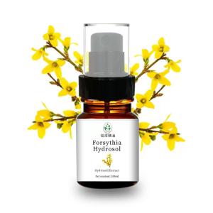 Wholesale Colorless Natural Hydrosol Forsythia Fruit Extract Clearing Away Heat Detoxification from china suppliers