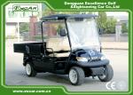 Black Color Lifted Beverage Food Golf Cart 48V 2 Passenger Hotel Buggy Car