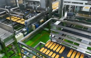Wholesale CE Sourdough Bread Production Line from china suppliers