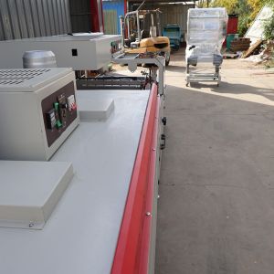 Customizable Plastic Wrap Packaging Machine Automatic Shrink Wrapping Tunnel