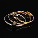 Goldplated Stainless Steel Bangle Charm Bracelets Endless Insert ODM