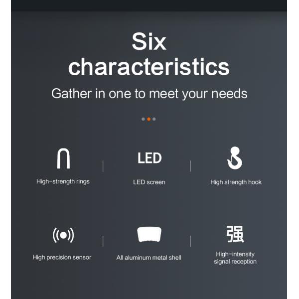 LED Display LCD Electronic Weighing Scale Heavy Duty 300kg Hanging Crane Scales with OEM and ODM Customization Support