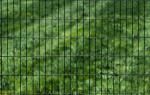 14 Gauge Welded Black PVC Coated Wire Mesh Fencing 1X3 inch 6ft Height