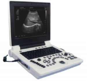 Wholesale 2mm Veterinary Ultrasound System 2-12mhz Pets Farm Animals from china suppliers