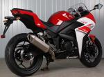 Double Cylinder Engine 350cc Sport Touring Motorcycles Front / Rear Double Dics