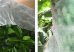 Good Transparency Agriculture Non Woven Fabric Non - Poisonous Frostproof Fabric