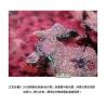 Buy cheap Raised colorful UV on CMYK Printed 250g special paper from wholesalers