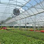 Round Tunnel Plastic Sheet Hydroponic Multi Span Greenhouse For Flowers Planting