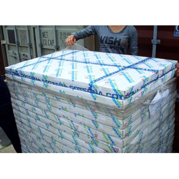 CB CF CFB Carbonless Paper In Reels Colorful Offset Printing 0.75-0.9 G/Cm3 Tensity