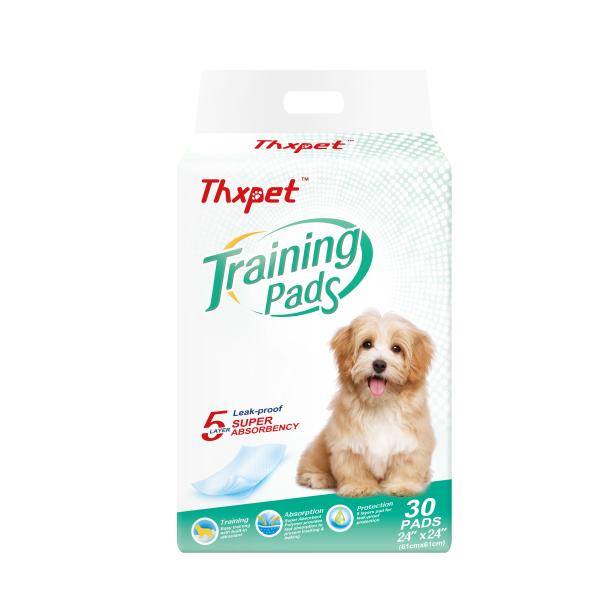 Effective Absorption Pet Training Pads for Healthy Growth of Small and Large Pets