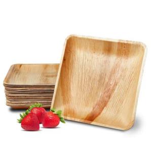 Wholesale 8&quot; 10&quot; Biodegradable Palm Leaf Plates Disposable from china suppliers