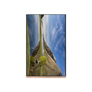 Wholesale NV103WUM-N61 10.3 inch 1200*1920 LCD Screen Display For Pad Tablet from china suppliers