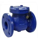 TOBO DN100 4 Inch PN10 Cast Iron Flange Swing Check Valve Manufacturer With