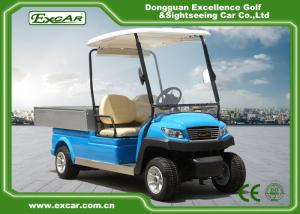 Wholesale Blue M1H2 Electric Utility Carts Transport Golf Utility Cart With Graziano Axle from china suppliers
