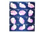 Waterproof X Ray Diagnostic Imaging Medical Paper For Laser Printers KND-K