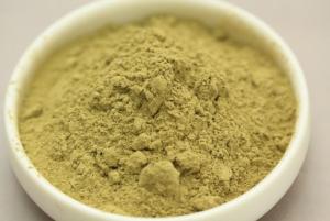 Wholesale Herb medecine Aloin/Aloe Ferox Miller Extract/Aloe Vera Extract Powder from china suppliers