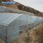 Galvanized Steel Frame Multi Span Agricultural Greenhouses Flower Vegetable