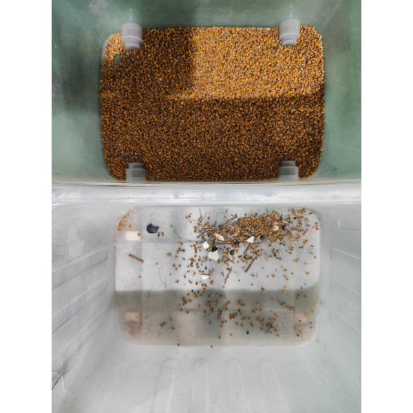 2 Chutes Chamomile Color Sorter Machine Tea Color Sorting Machine
