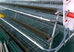 2.15*2.3*1.9 Size Chicken Battery Cage Poultry Farming , 3-5 Layers Chicken Farm