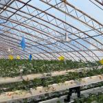 Shipping Cost and Estimated Delivery Time for Commercial Hydroponic Seeding