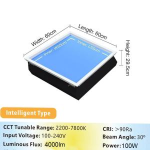 Wholesale 95 RA No Flicker LEDs 50 000H Fake Skylight Panel Tunable White Tuya Smart Light from china suppliers