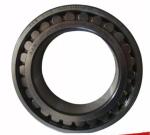GCr15 Double Row SL014838 Cylindrical Roller Bearings