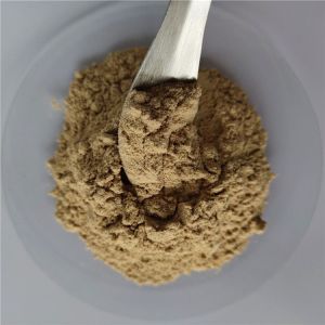 Wholesale Anti-bacterial Peppermint Extract Halal In Bulk Stock from china suppliers