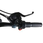 26 Fat Tire Electric Mountain Bike 65KM/H Max Speed With 10Ah Battery