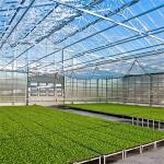 Gothic Venlo Type Greenhouse Agricultural Stable Structure Easily Assembled