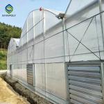 Plastic Multi Span Greenhouse Saw Tooth Roof Ventilation