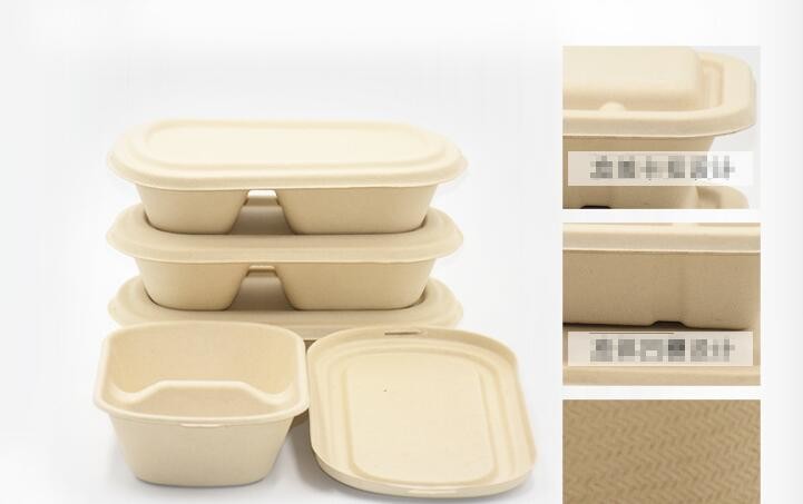1000ml Biodegradable Straw pulp food container 2 compartments paper food tray with PP lid