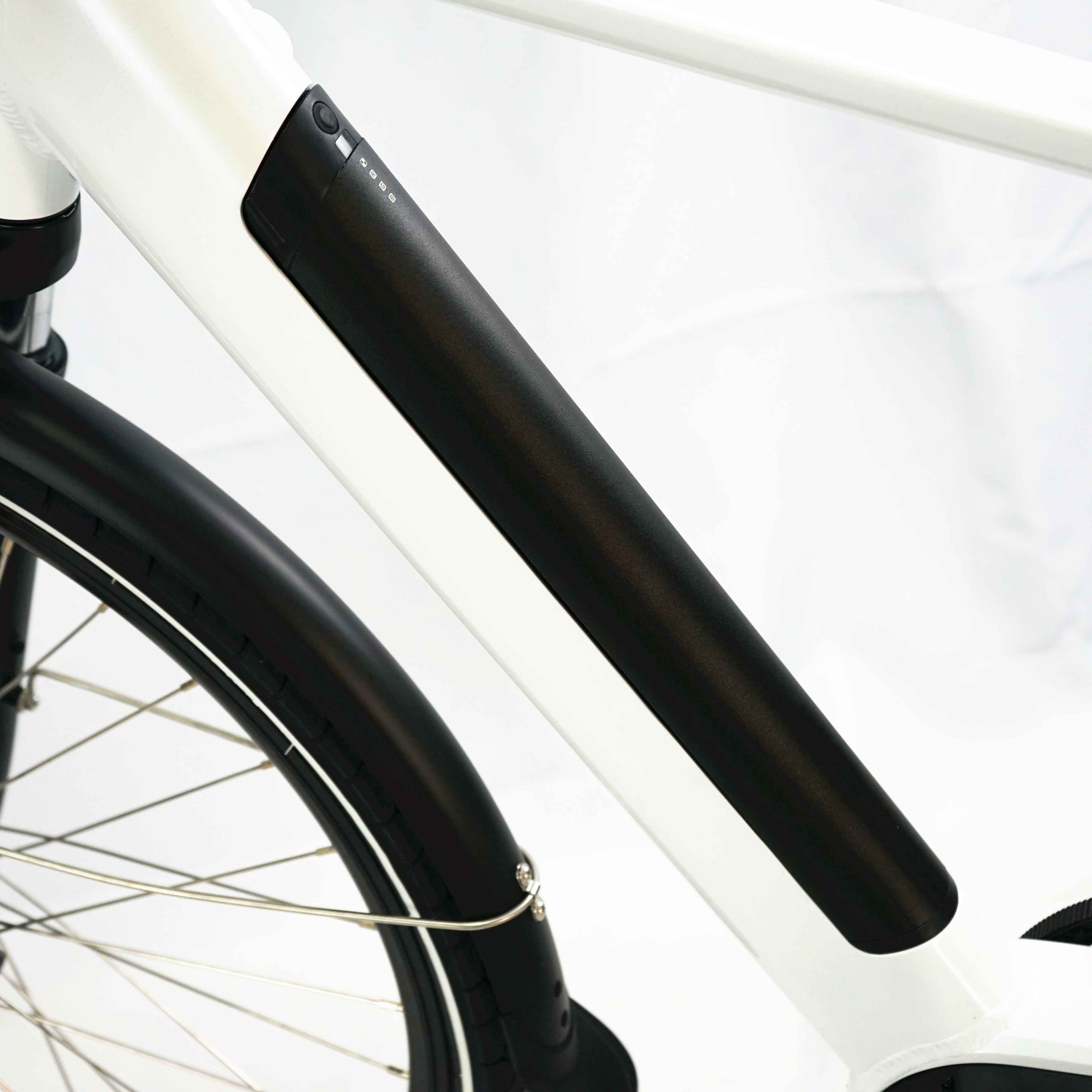 2021 Electric Hybrid Bike with Aluminum Alloy Frame Belt Drive and 5 Internal Hub Gear