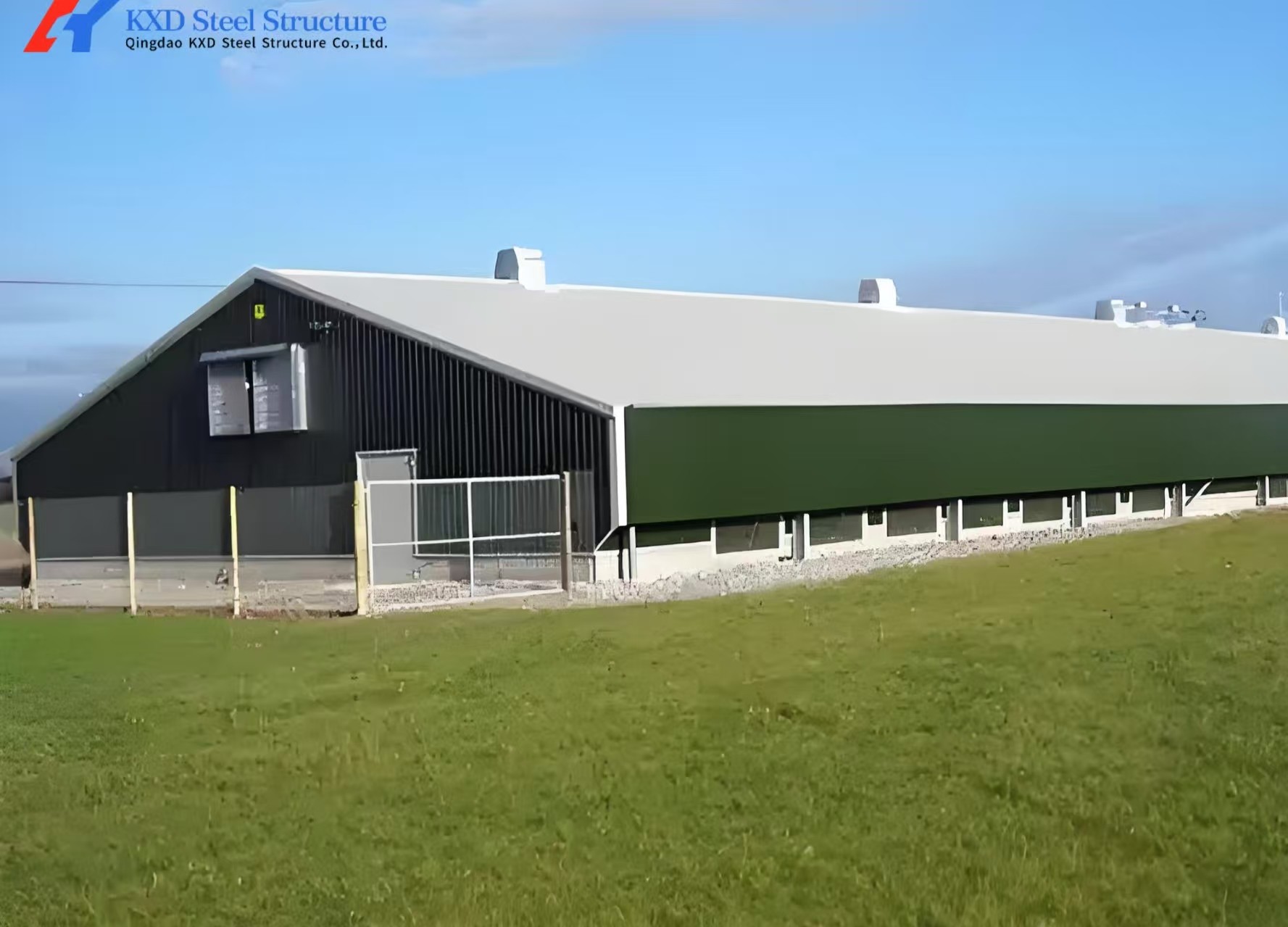 Commercial Building Steel Structure Plant Poultry House For Chicken Shed